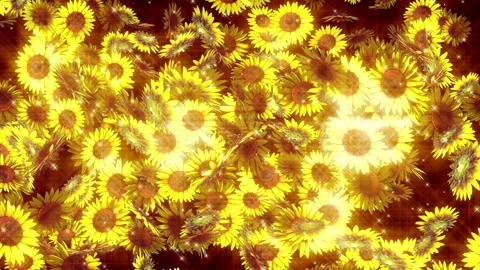 Sunflower summer flower loop animation Video stock 148060347