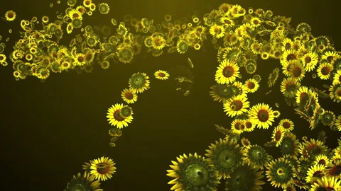 Sunflower summer flower loop animation Stock Footage 172342537