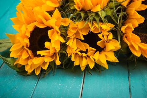 Sunflower on table Stock Photos
