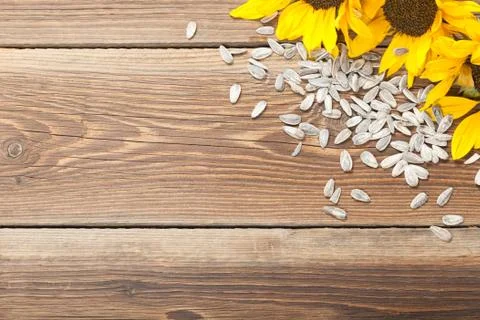 Sunflower on table Stock Photos
