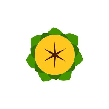 Sunflower top view vector illustration isolated on white background Stock Illustration