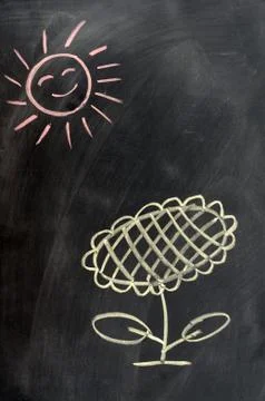 Sunflower under the sun Stock Photos