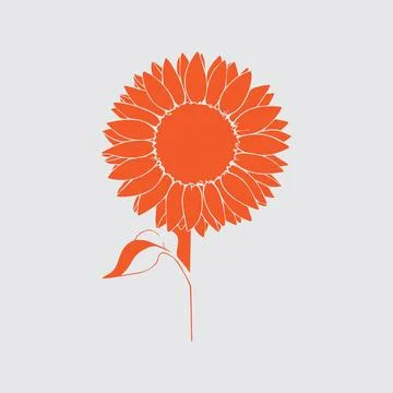 Sunflower vector art design Stock Illustration