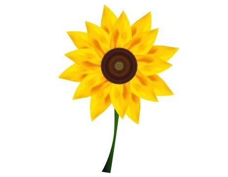 Sunflower Vector design on white background Stock Illustration
