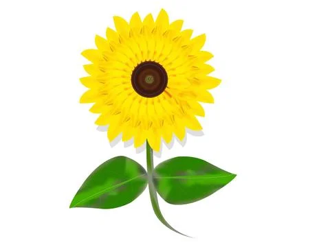 Sunflower Vector design on white background Stock Illustration