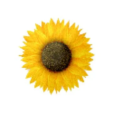 Sunflower vector icon Pixel art illustration isolated on white background Stock Illustration