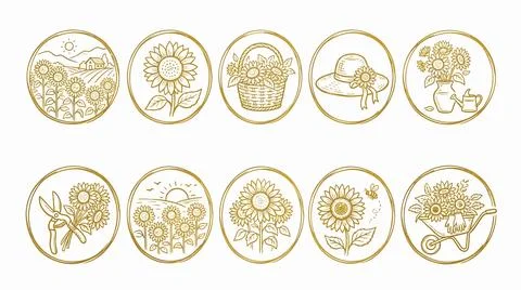 Sunflower vector illustration collection, yellow floral harvest and farm el.. Stock Illustration