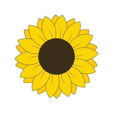 Sunflower vector illustration Stock Illustration