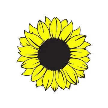 Sunflower vector illustration Stock Illustration
