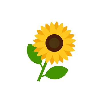 Sunflower vector illustration isolated on white background Stock Illustration