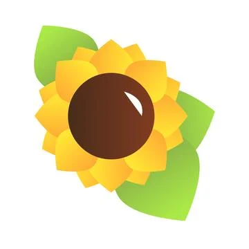 Sunflower vector illustration on the white background Stock Illustration