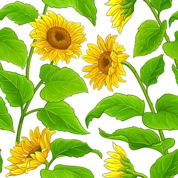 Sunflower vector pattern Illustrazione stock