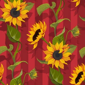 Sunflower vector seamless pattern floral texture on red stripes background Stock Illustration