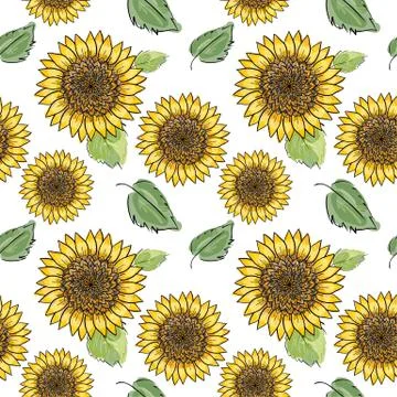 Sunflower vector seamless pattern with green leaves, imitating ink and waterc 스톡 일러스트