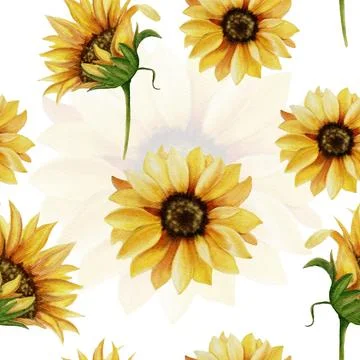 Sunflower Watercolor Seamless Pattern Stock Illustration
