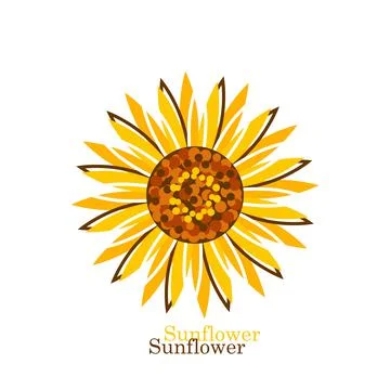 Sunflower on white background in flat style Stock Illustration