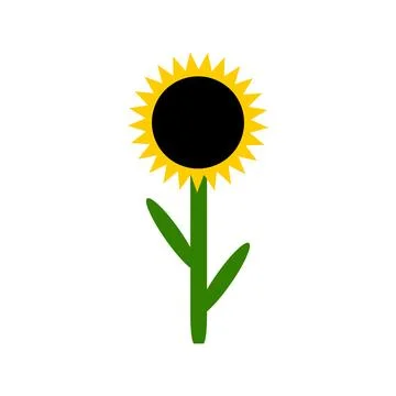 Sunflower on white. Stock Illustration