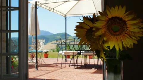 Sunflower, wind and landscape Stock Footage 11869398