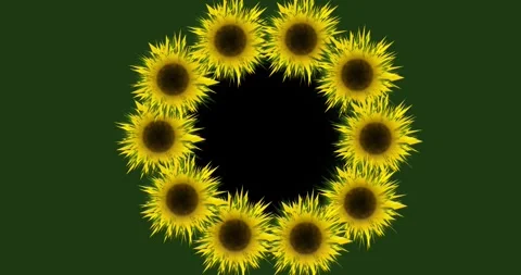 Sunflower Wreath on Green Background Stock Footage 313788446