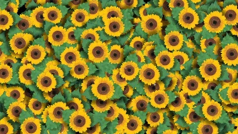 SunFlowers Background 1 Stock Footage 126294074