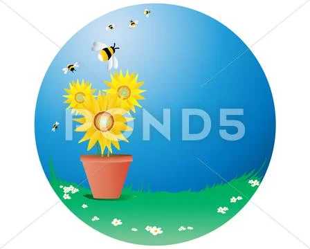 Sunflowers with bees Stock Illustration