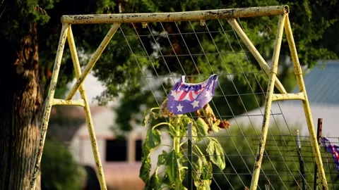 Sunflowers beside an old swing set in Lebanon Stock-Footage 345530723
