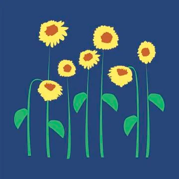 Sunflowers on a blue background. Vector illustration. For wrapping paper Illustrazione stock