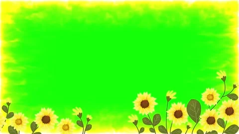 Sunflowers border on green screen Video stock 341376017
