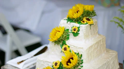 Sunflowers on a Cake Stock Footage 32420159