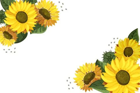 Sunflowers at the corners of the border. Template with Place for text on white Stock Illustration