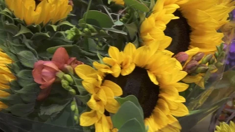 Sunflowers with Flowers Stock Footage 98100809