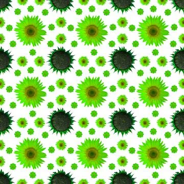 Sunflowers flowers seamless pattern design isolated on uniform background. Ca Stock Illustration