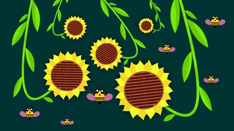 Sunflowers Stock Footage 135236827