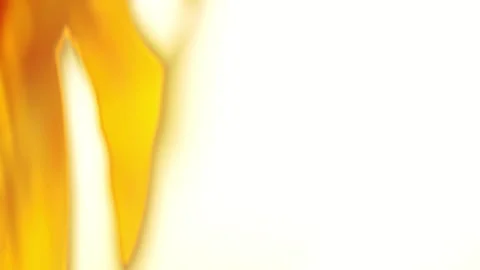 Sunflowers Stock Footage 319411270