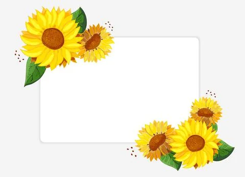 Sunflowers with frame for text. White invitation card template with place for Illustrazione stock