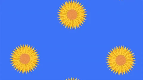 sunflowers garden nature pattern animati... | Stock Video | Pond5