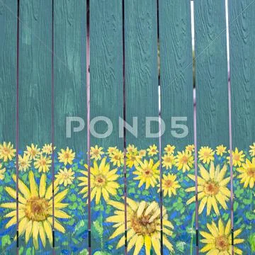 Sunflowers painting on fence wood Stock Photos