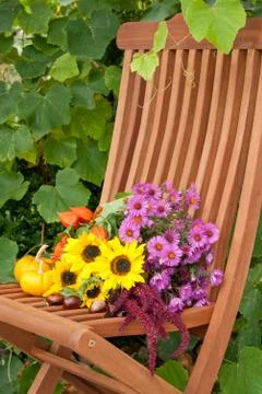 Sunflowers Stock Photos