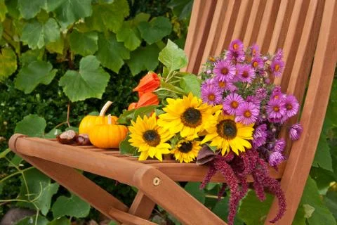 Sunflowers Stock Photos