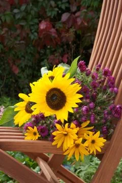 Sunflowers Stock Photos