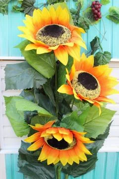 Sunflowers Stock Photos