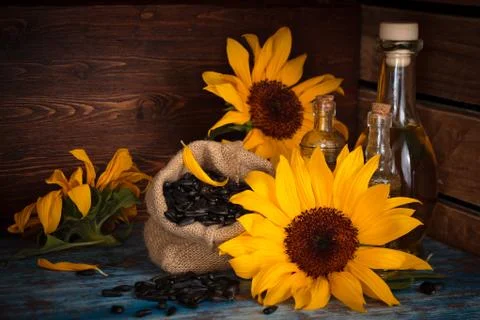 Sunflowers. Stock Photos