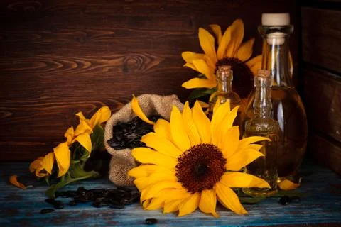 Sunflowers. Stock Photos