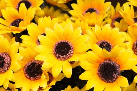 Sunflowers  plastic Stock Photos
