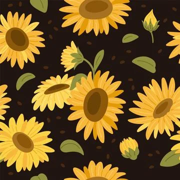 Sunflowers seamless pattern. Summer yellow flowers, flora with seeds Illustrazione stock