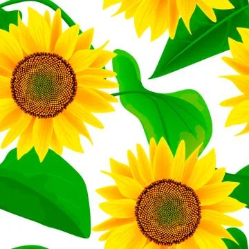 Sunflowers Seamless vector pattern. Autumn print. flowers and leaves, For tex Stock Illustration