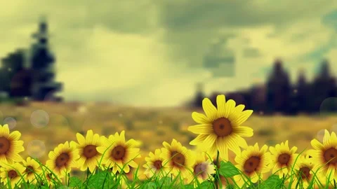 Sunflowers swaying in the wind animation Stock Footage 307737238