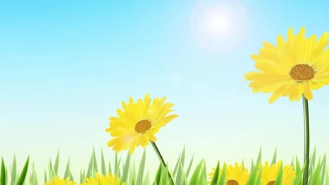Sunflowers swaying in the wind animation Stock Footage 308095775