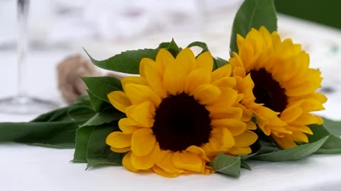 Sunflowers on the table Video stock 254423258