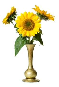 Sunflowers in vase Stock Photos